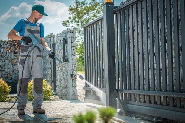 Best Soft Washing  in Circle Pines, MN
