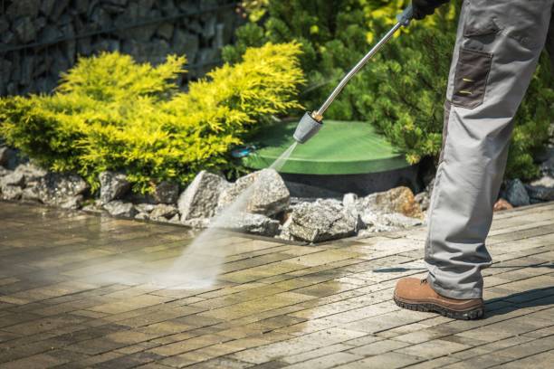 Best Pre-Holiday Cleaning  in Circle Pines, MN