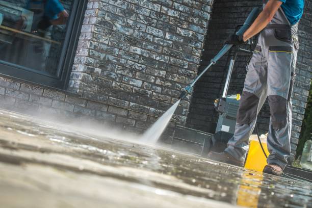 Best House Exterior Washing  in Circle Pines, MN