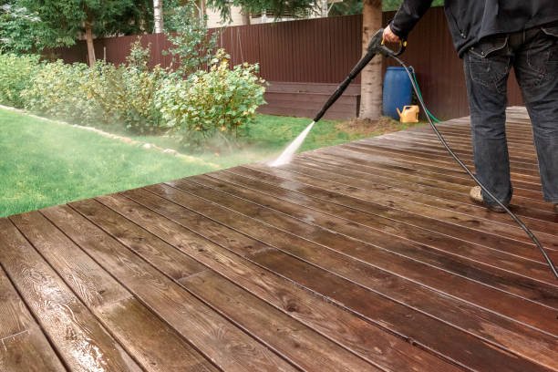 Best Gutter Cleaning  in Circle Pines, MN