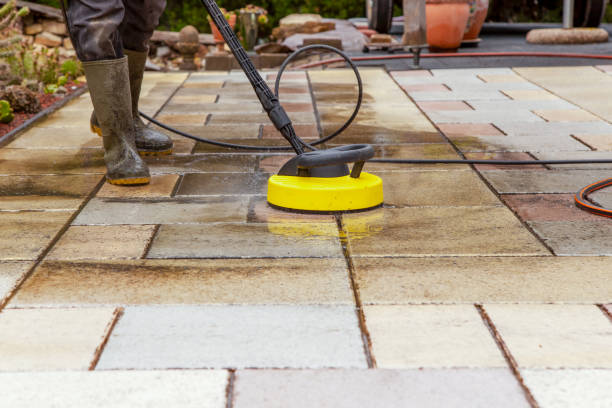 Best Animal Enclosure Cleaning  in Circle Pines, MN