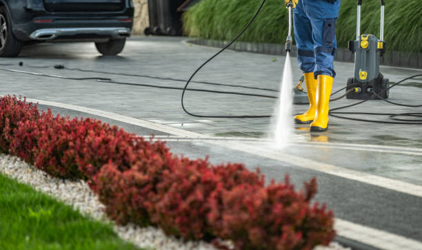Best Patio and Deck Pressure Washing  in Circle Pines, MN